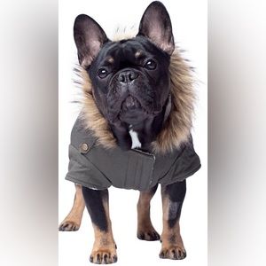 Canada Pooch Alaskan Army Premium Faux Down Insulated Dog Parka